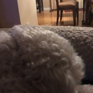 Meet your Posher, Allison